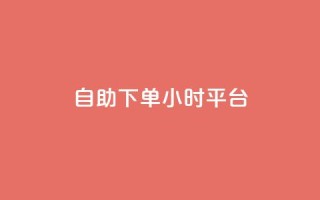 自助下单24小时平台 - 扣扣点赞