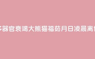 多器官衰竭 大熊猫“福茹”8月16日凌晨离世