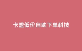 卡盟低价自助下单科技 - 低价自助服务助力卡盟轻松下单!