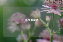小红书读书