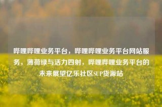 哔哩哔哩业务平台，哔哩哔哩业务平台网站服务，薄荷绿与活力四射，哔哩哔哩业务平台的未来展望亿乐社区SUP货源站