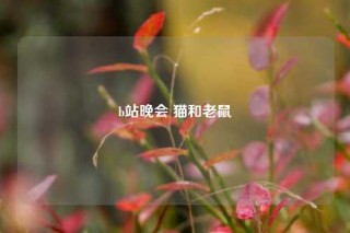 b站晚会 猫和老鼠