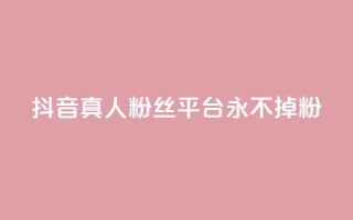 抖音真人粉丝平台 永不掉粉 - 增加社交影响力，稳定粉丝数量营销平台~