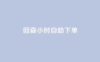 回森24小时自助下单 - 全网账号批发