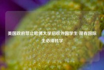 美国政府禁止哈佛大学招收外国学生 现有国际生必须转学