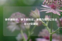 快手刷粉丝，快手刷粉丝，策略与技巧亿乐社区SUP货源站