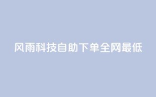 风雨科技自助下单全网最低 - 风雨科技自助下单享受全网最低价格攻略~