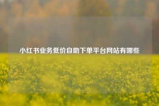 小红书业务低价自助下单平台网站有哪些