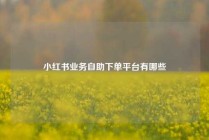 小红书业务自助下单平台有哪些