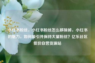 小红书粉丝，小红书粉丝怎么移除掉，小红书的魅力，如何吸引并保持大量粉丝？亿乐社区低价自营货源站
