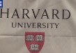 美国联邦法官就禁止哈佛大学招收国际学生政策发出临时限制令