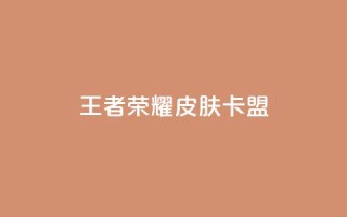王者荣耀皮肤卡盟 - 王者荣耀皮肤卡盟，让你畅享丰富多彩的英雄皮肤世界~