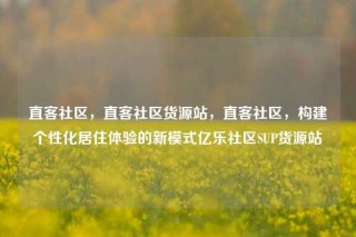 直客社区，直客社区货源站，直客社区，构建个性化居住体验的新模式亿乐社区SUP货源站