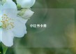 小红书卡券