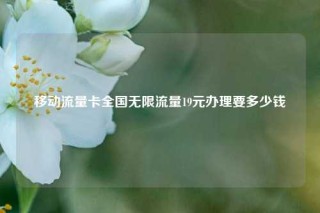 移动流量卡全国无限流量19元办理要多少钱