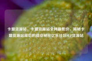 卡盟货源站，卡盟货源站全网最低价，揭秘卡盟货源站背后的商业秘密亿乐社区SUP货源站
