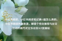 小红书阅读，小红书阅读笔记满15篇怎么弄的，小红书阅读热潮来袭，解锁个性化推荐与社交互动的新方式亿乐社区SUP货源站