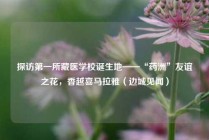 探访第一所藏医学校诞生地——“药洲”友谊之花，香越喜马拉雅（边城见闻）