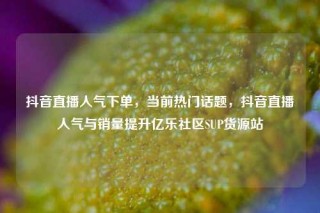 抖音直播人气下单，当前热门话题，抖音直播人气与销量提升亿乐社区SUP货源站
