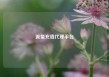 流量充值代理平台