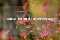 哈塞特：美债是地球上最安全的投资选择