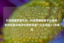 抖音刷播放量平台，抖音刷播放量平台揭秘，如何在数字海洋中猎取流量？亿乐社区SUP货源站