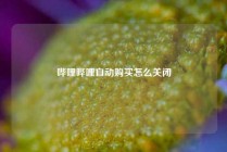 哔哩哔哩自动购买怎么关闭