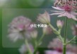 小红书滑块