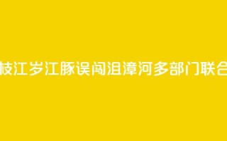 湖北枝江：2岁江豚误闯沮漳河 多部门联合救援