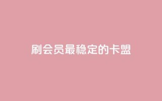 刷会员最稳定的卡盟 - 1元3万粉丝