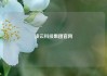 凌云科技集团官网
