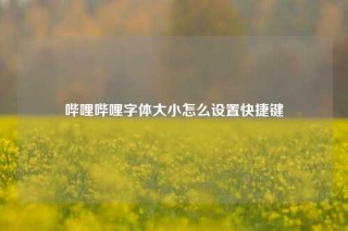 哔哩哔哩字体大小怎么设置快捷键