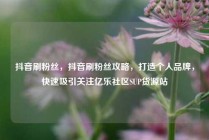 抖音刷粉丝，抖音刷粉丝攻略，打造个人品牌，快速吸引关注亿乐社区SUP货源站