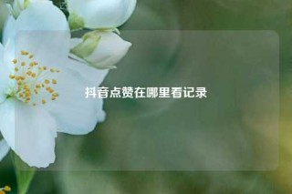 抖音点赞在哪里看记录