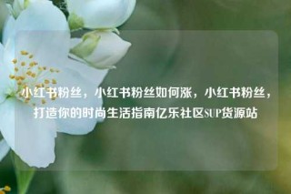 小红书粉丝，小红书粉丝如何涨，小红书粉丝，打造你的时尚生活指南亿乐社区SUP货源站