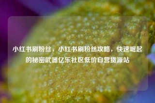 小红书刷粉丝，小红书刷粉丝攻略，快速崛起的秘密武器亿乐社区低价自营货源站