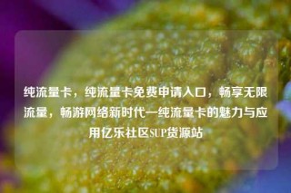 纯流量卡，纯流量卡免费申请入口，畅享无限流量，畅游网络新时代—纯流量卡的魅力与应用亿乐社区SUP货源站