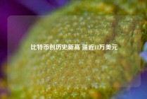 比特币创历史新高 逼近11万美元