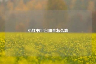 小红书平台佣金怎么算