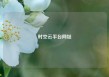 时空云平台网址
