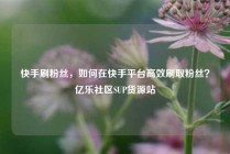 快手刷粉丝，如何在快手平台高效刷取粉丝？亿乐社区SUP货源站