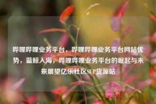 哔哩哔哩业务平台，哔哩哔哩业务平台网站优势，蓝鲸入海，哔哩哔哩业务平台的崛起与未来展望亿乐社区SUP货源站