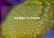 快手直播人气24小时下单