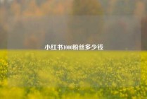 小红书1000粉丝多少钱