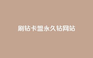 刷钻卡盟永久钻网站 - 24小时QQ空间访客