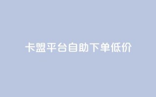 卡盟平台自助下单低价 - 自助下单低价卡盟平台助你轻松购卡！