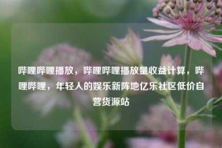 哔哩哔哩播放，哔哩哔哩播放量收益计算，哔哩哔哩，年轻人的娱乐新阵地亿乐社区低价自营货源站