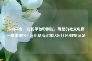 涨粉平台，涨粉平台秒到账，崛起的社交电商—揭秘涨粉平台的秘密武器亿乐社区SUP货源站