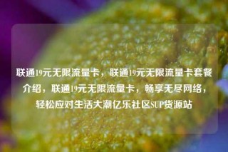 联通19元无限流量卡，联通19元无限流量卡套餐介绍，联通19元无限流量卡，畅享无尽网络，轻松应对生活大潮亿乐社区SUP货源站