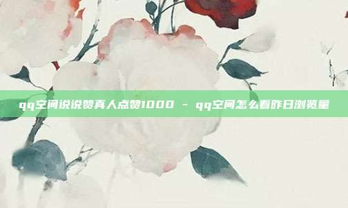 qq空间说说赞真人点赞1000 - qq空间怎么看昨日浏览量  第1张